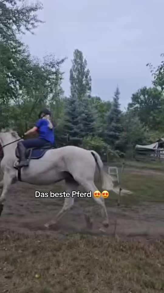 @stella_mhlb