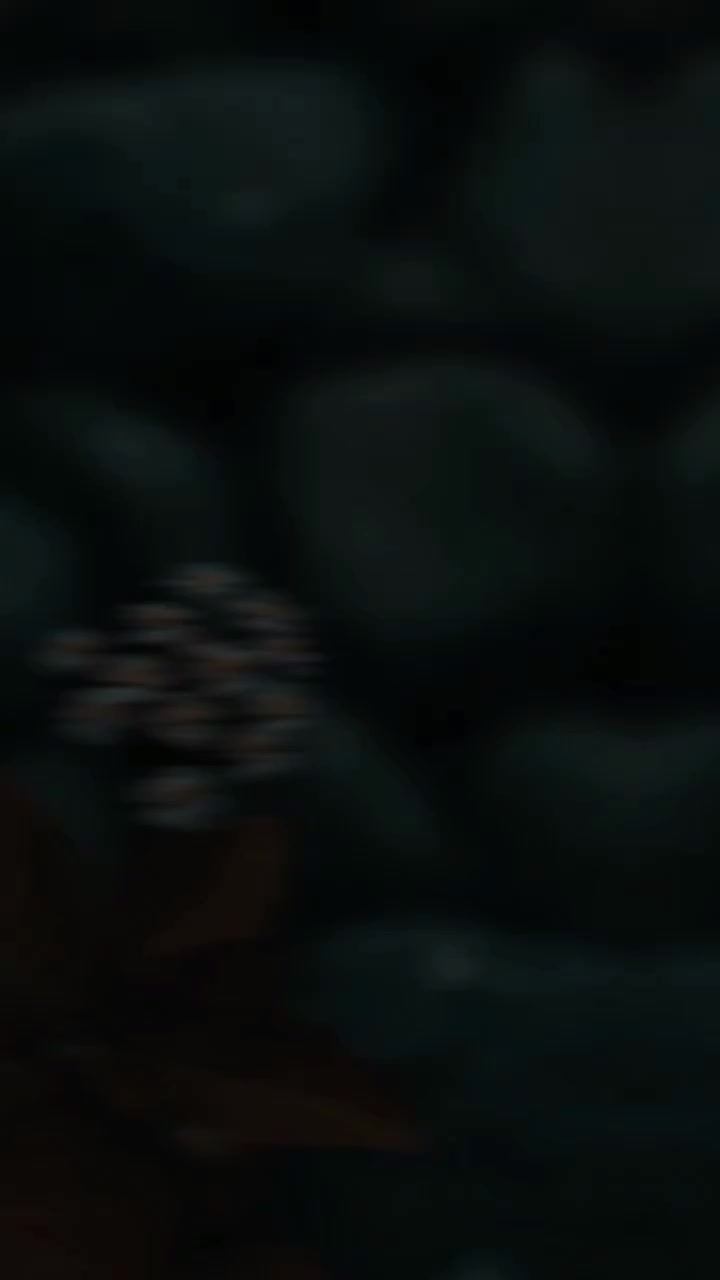 @&spades;︎ʙʟᴀᴄᴋ ʟᴏᴠᴇʀ&spades;︎