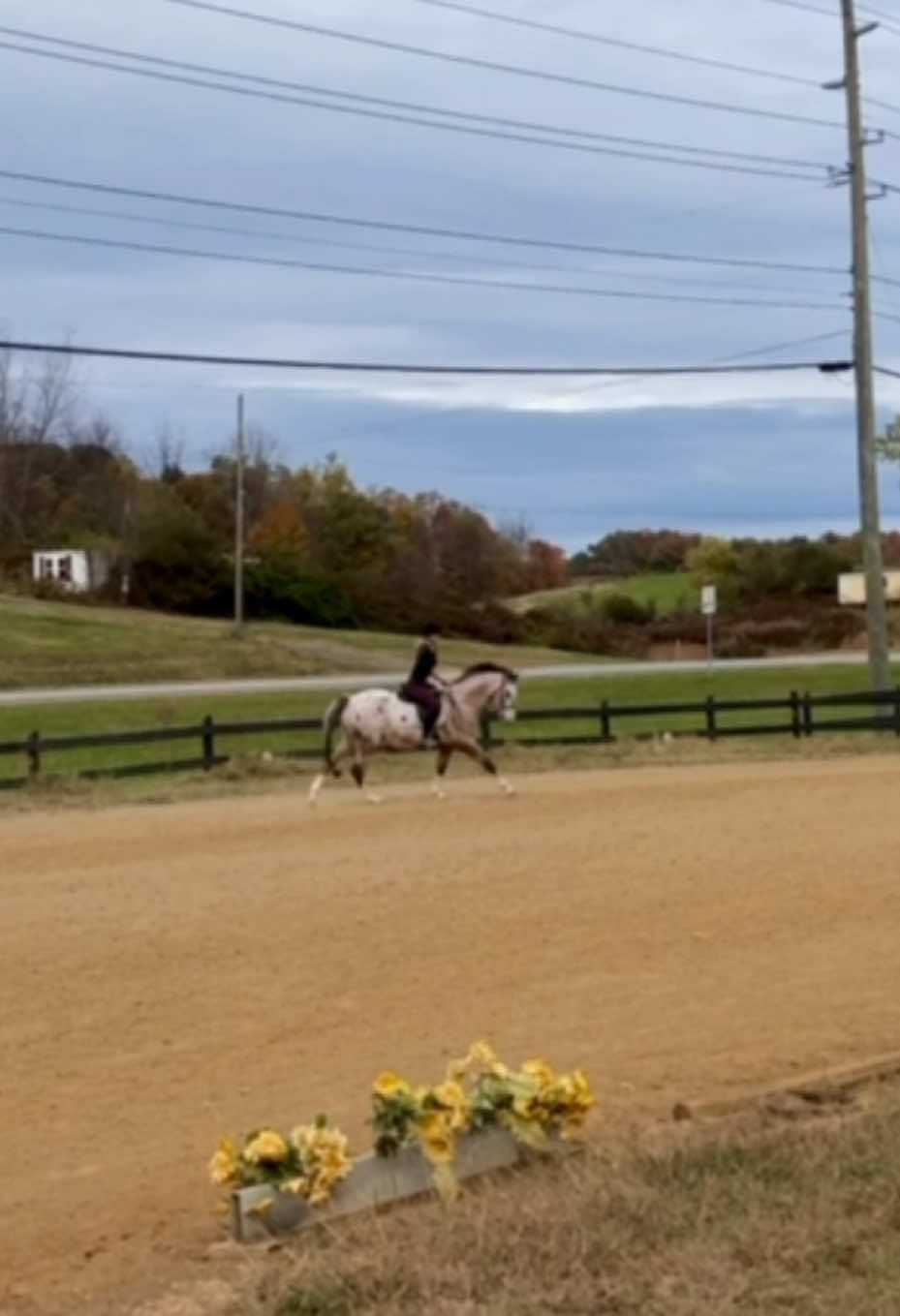 @Equestrian 🐴🐎