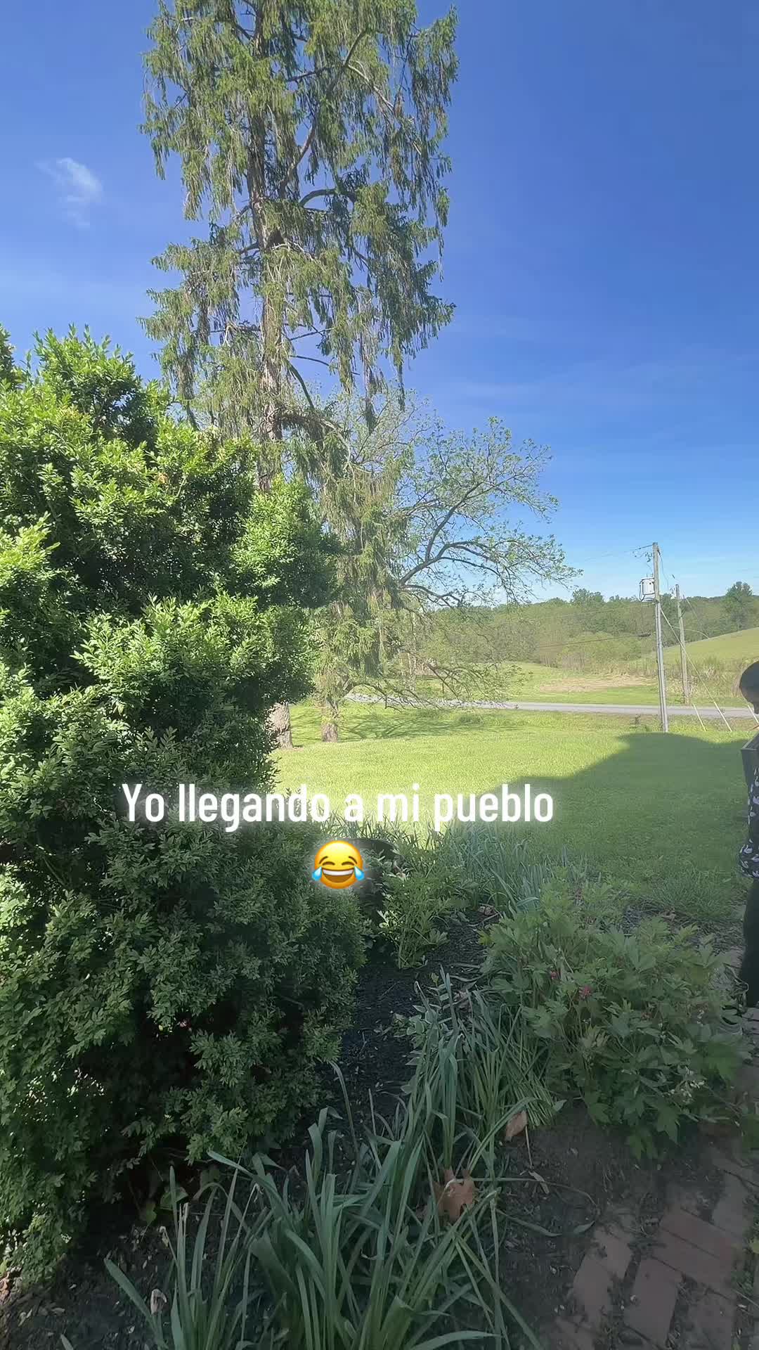 @Flor 🍒🥀🐷🧟♀️