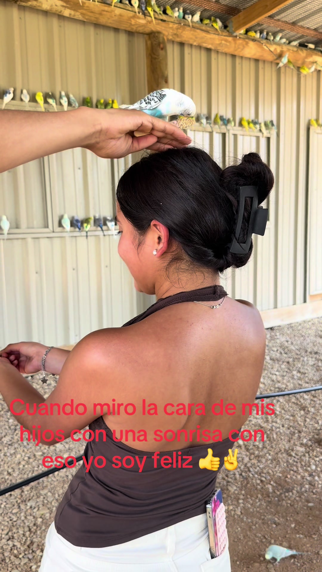 @alfredo sanchez