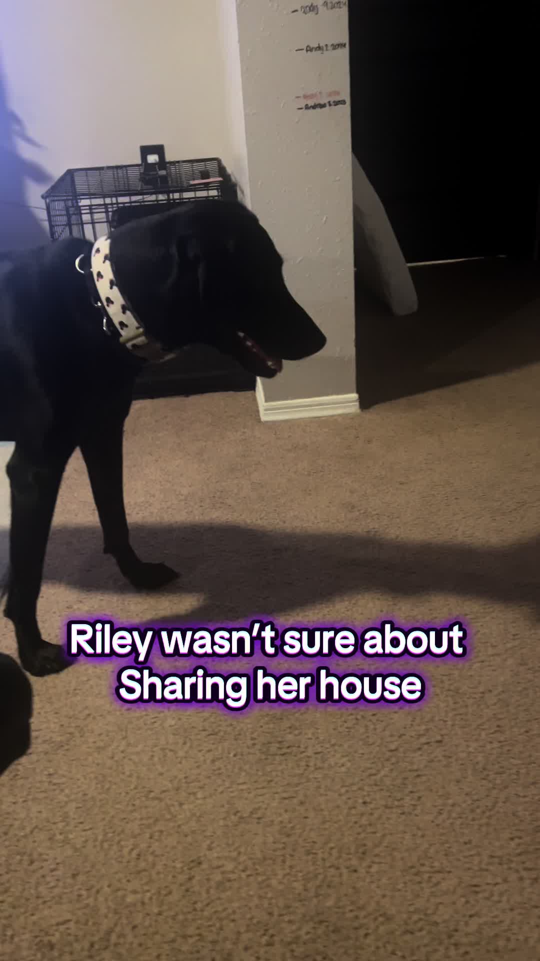 @Riley