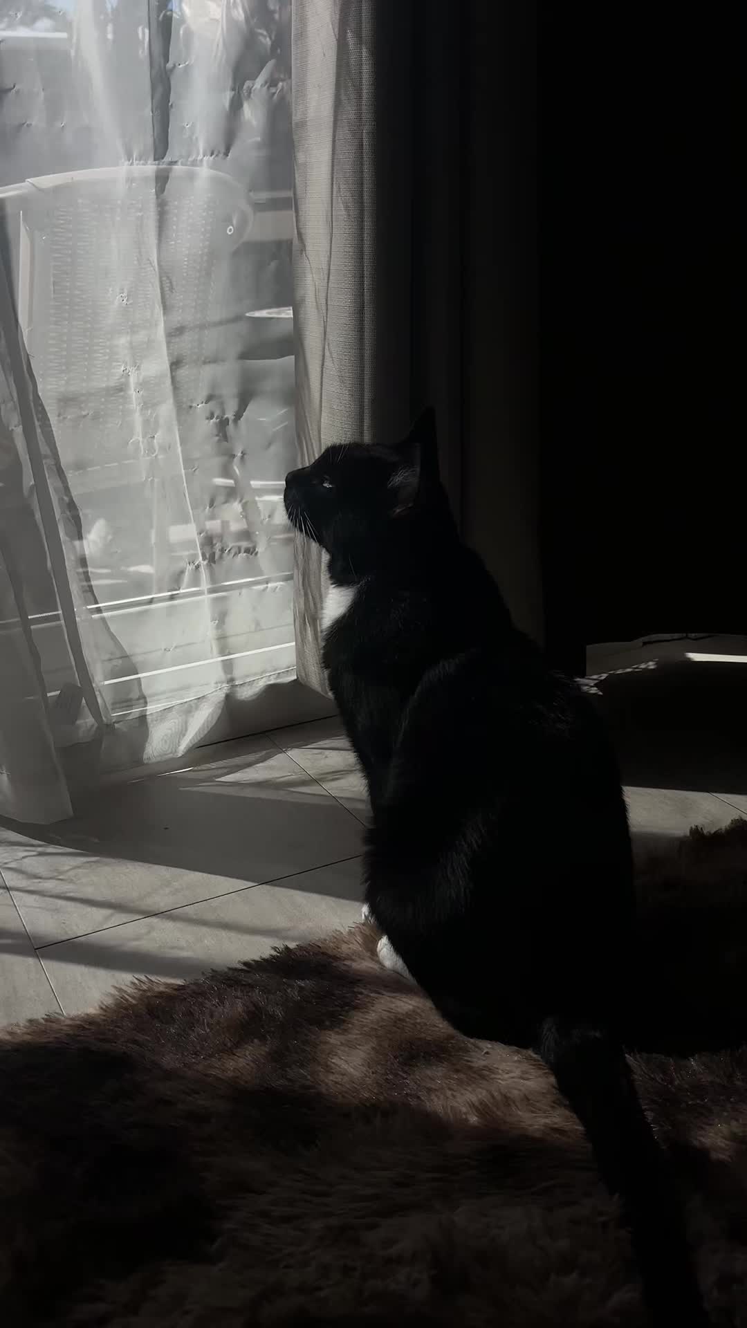 @𝑻𝒉𝒆 𝑫𝒊𝒗𝒊𝒏𝒆 𝑮𝒓𝒐𝒗𝒆