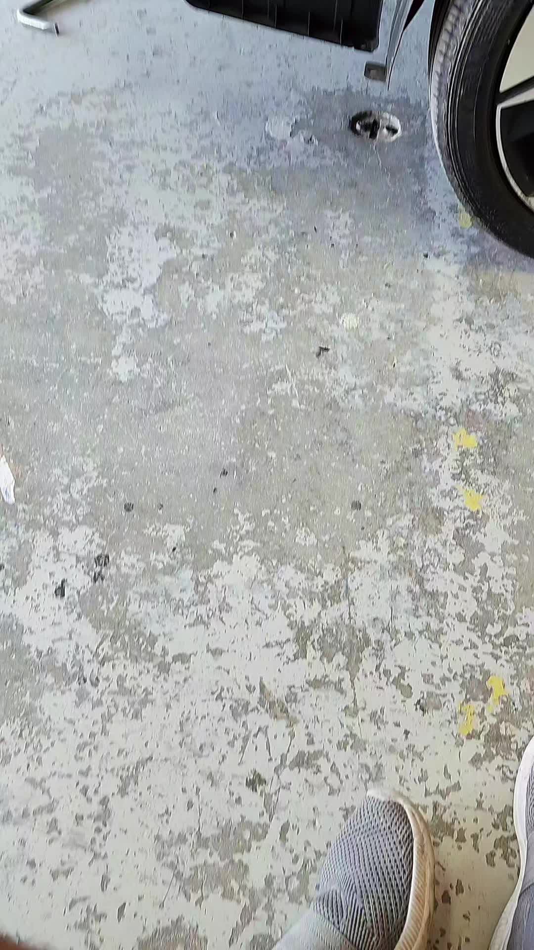 @Cesar Arias