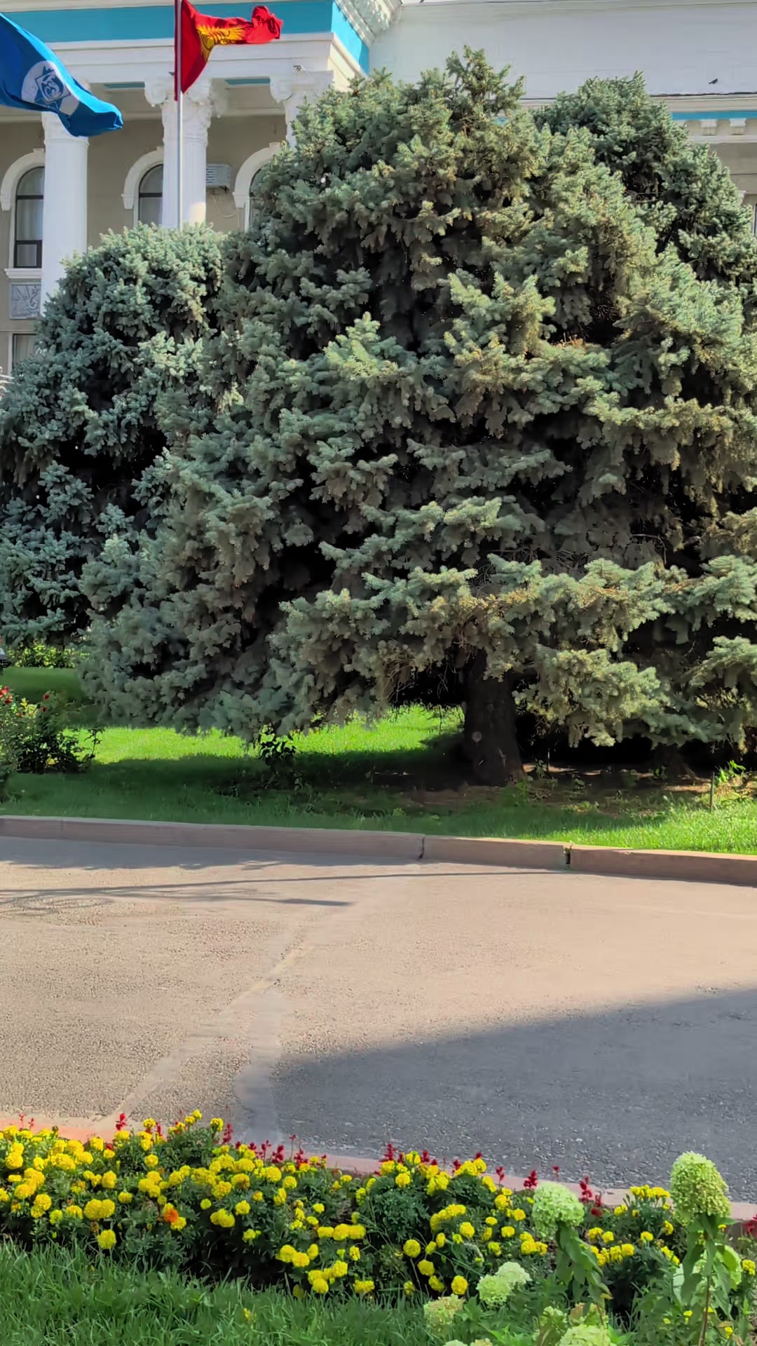@𝓜𝓸𝓷𝓲 𝓖