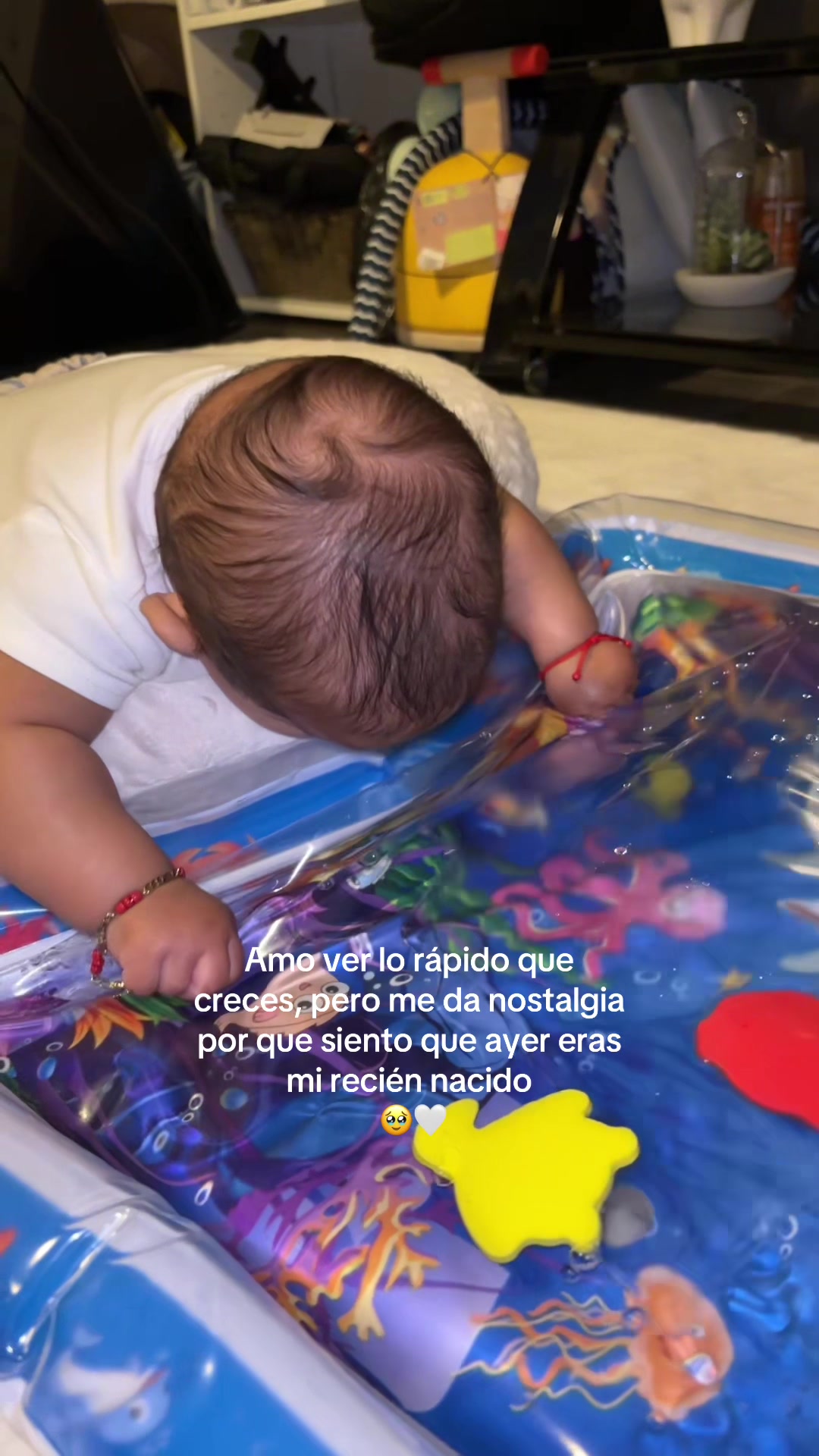 @Elisa Chavez