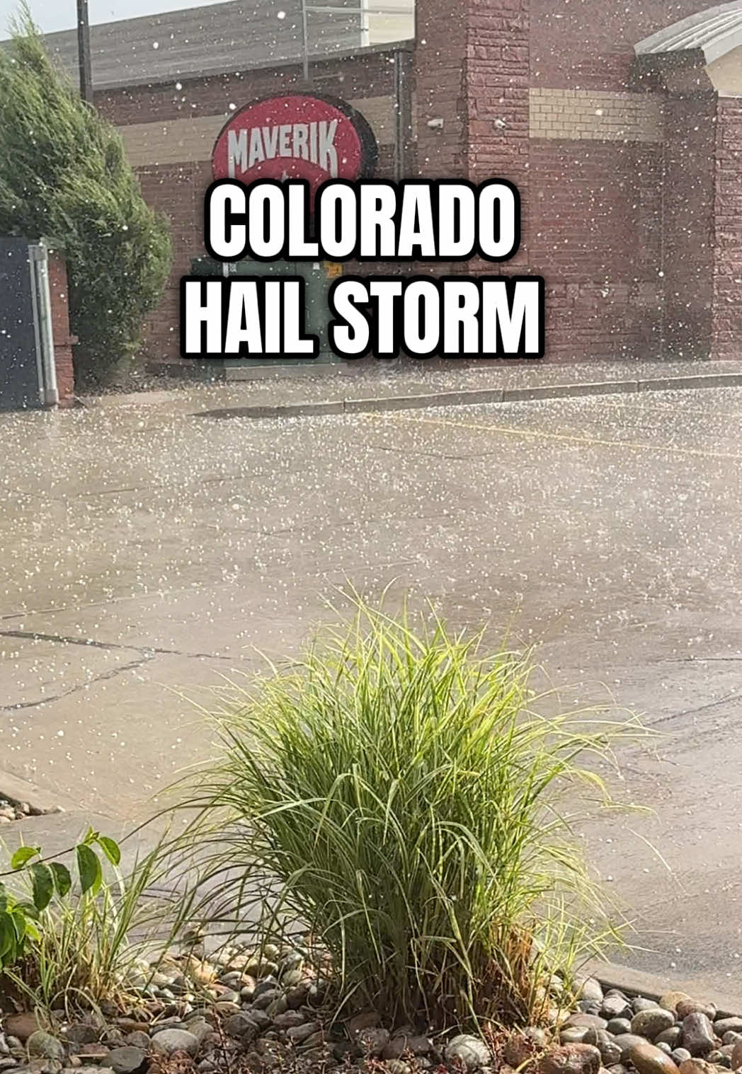 @Dee - Sports & Entertainment