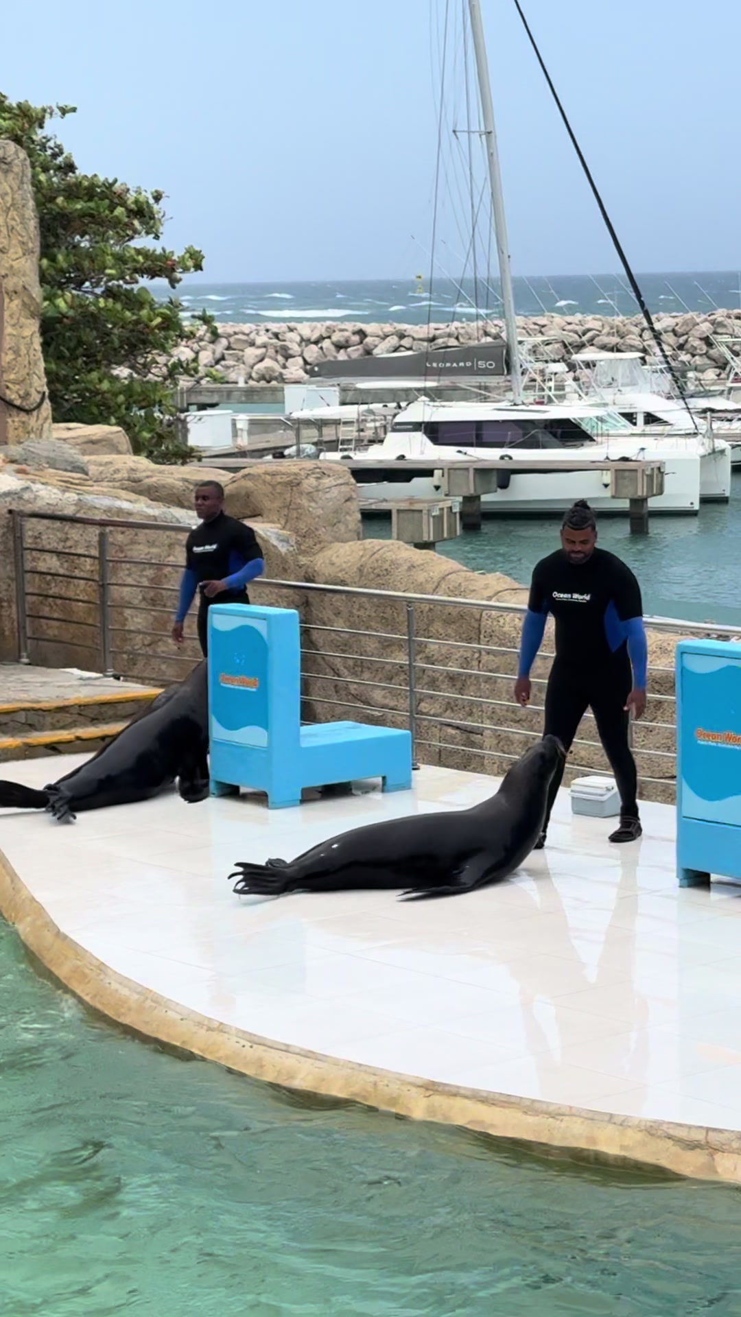 @oceanworldRD