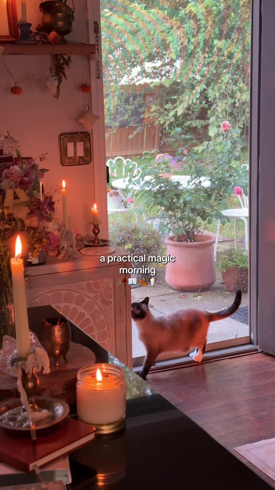 @kalena💐🧺