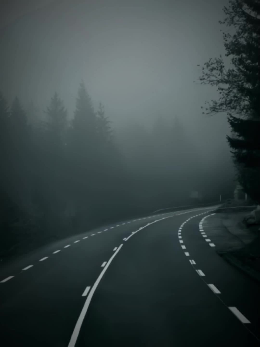 @elioo