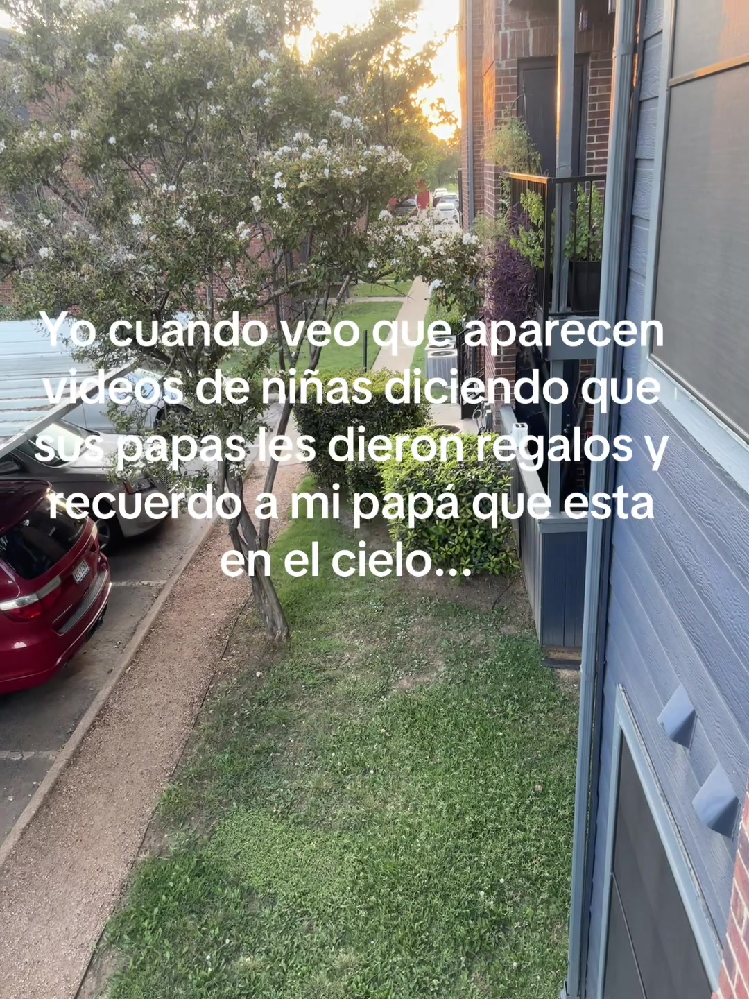 @ᥫ᭡