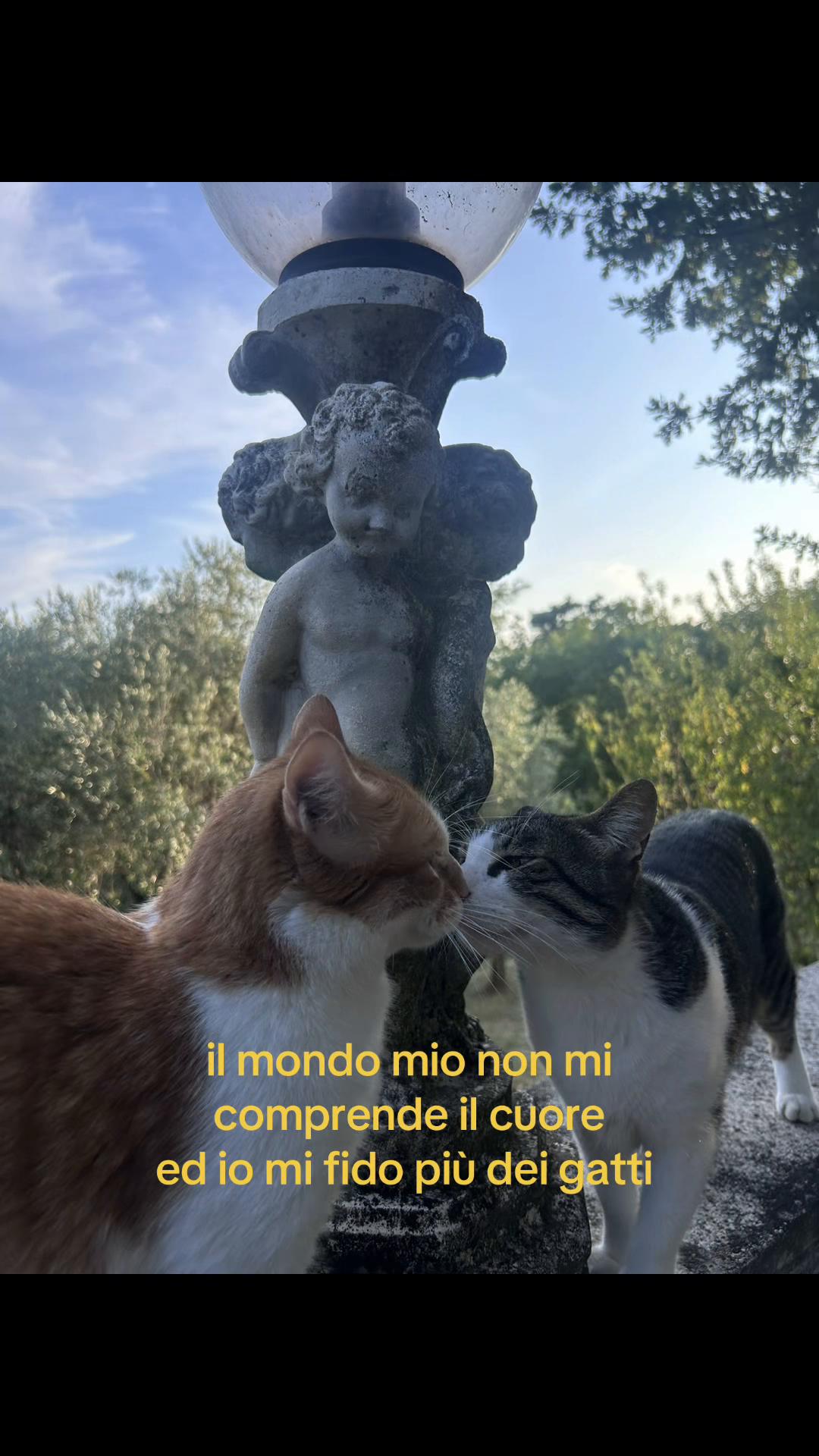 @vviioletvr