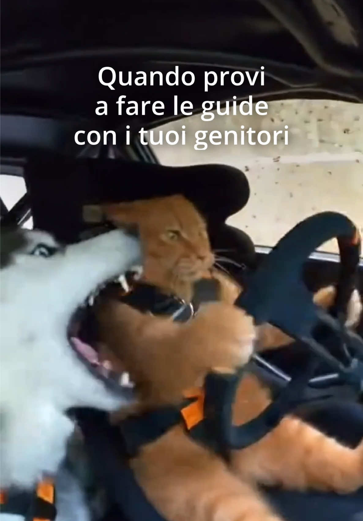 @Autoscuola Fabbrini