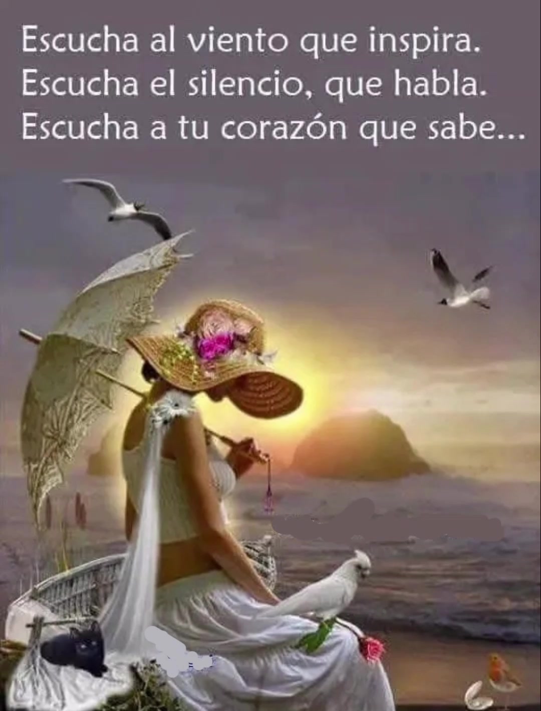 @cornejo jorge