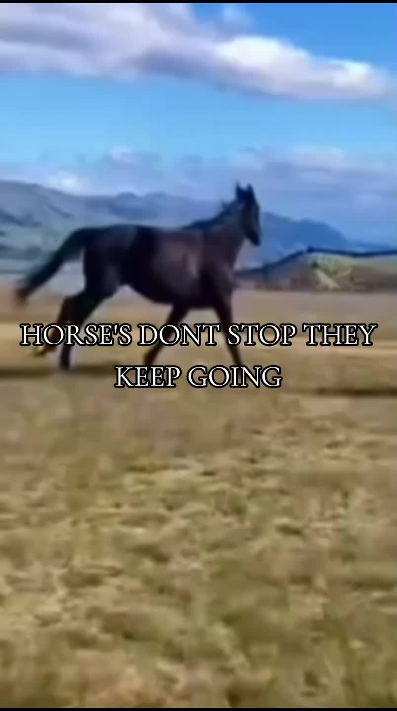 @Domo🎖