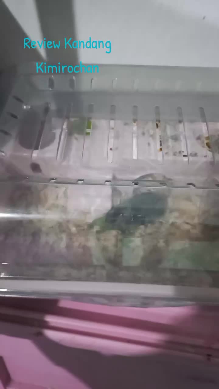@Hamsterfiles