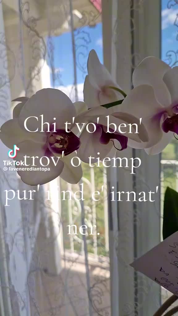 @Paola