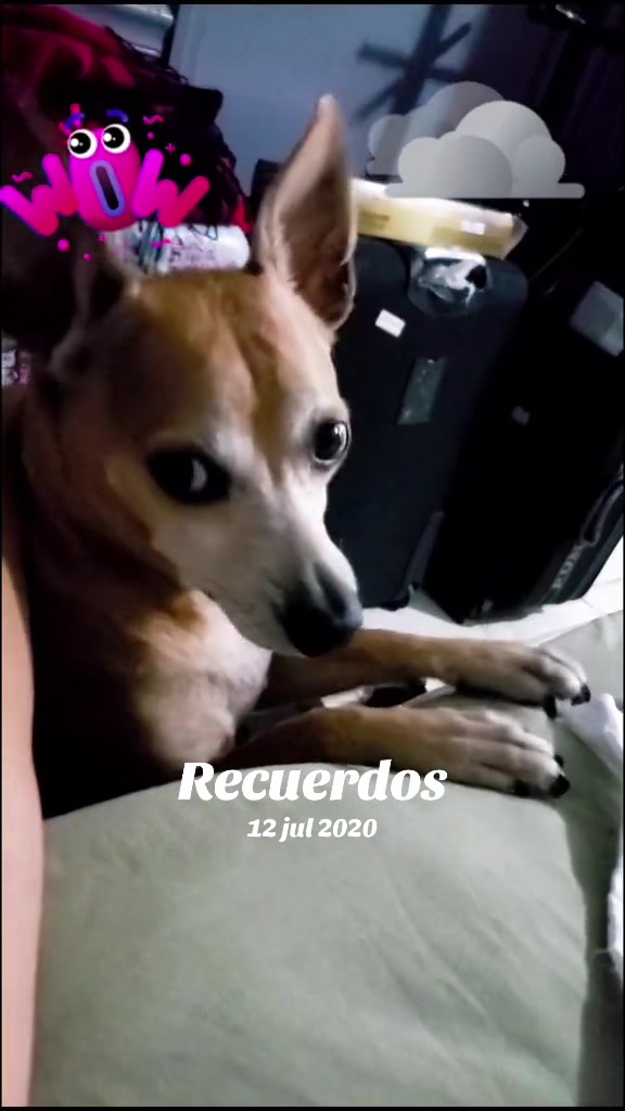 @Yordanka Fonseca