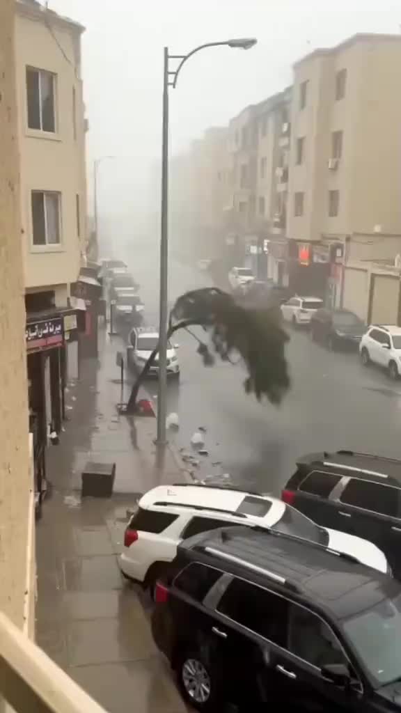 @muhammad 🇵🇰🇲🇾🇸🇦
