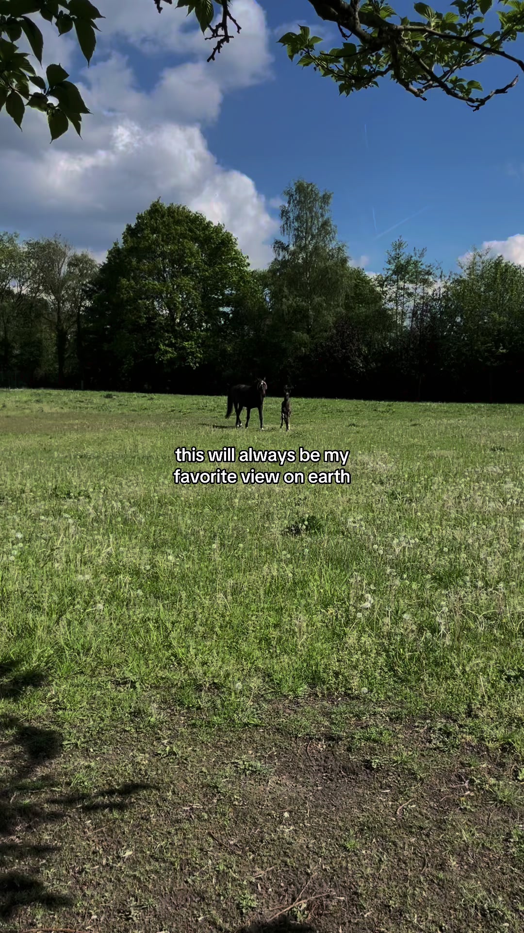 @leanne☘️