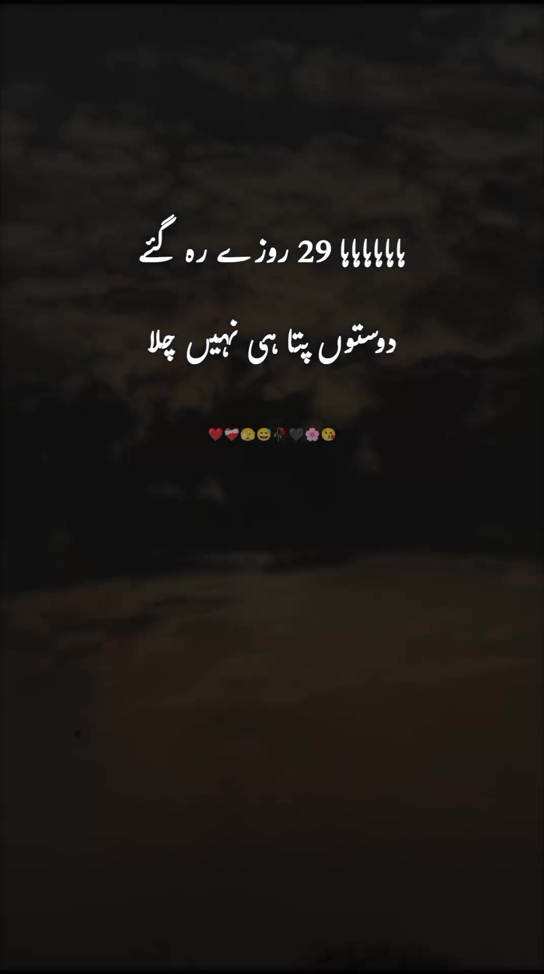@ﮩـﮩﮩ٨ـ🫀ﮩ٨ـﮩﮩ٨ـ