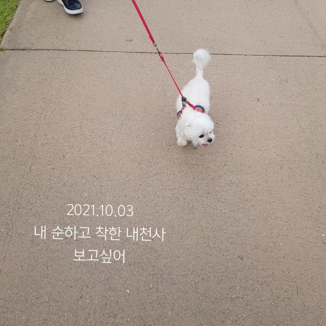 @초롱맘