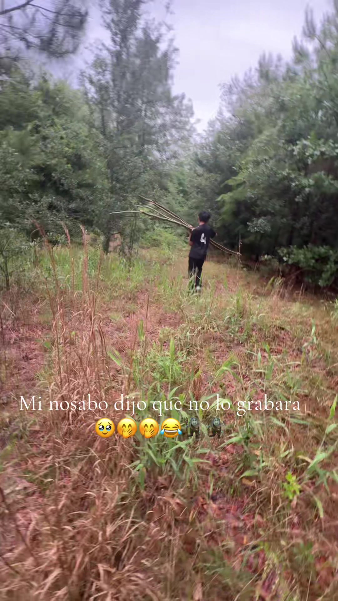 @Hernández 🥰🥰