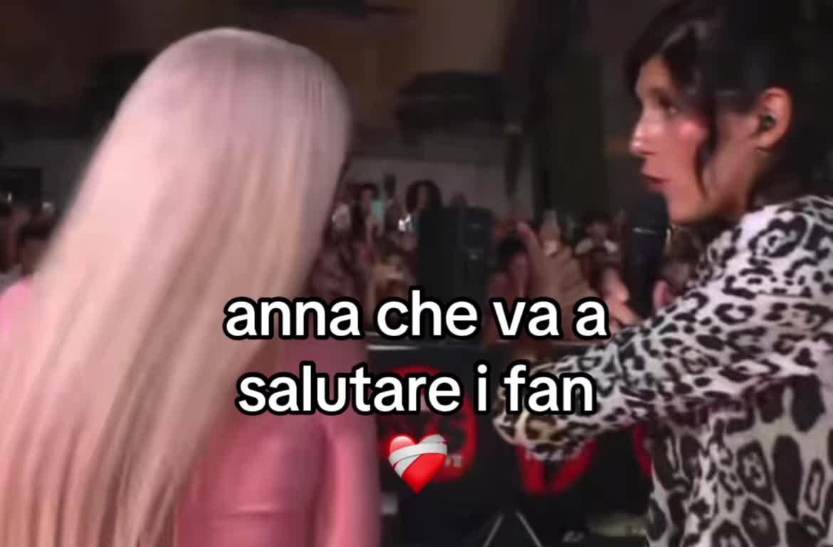 @annaseiluce_