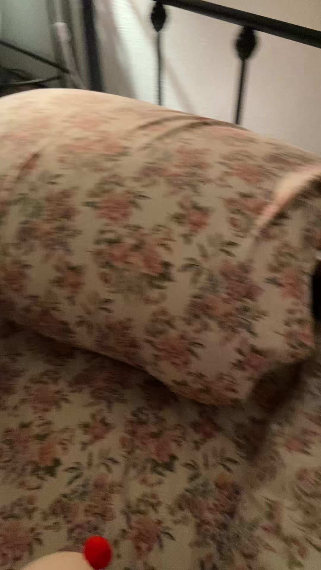 @Lilly__Star