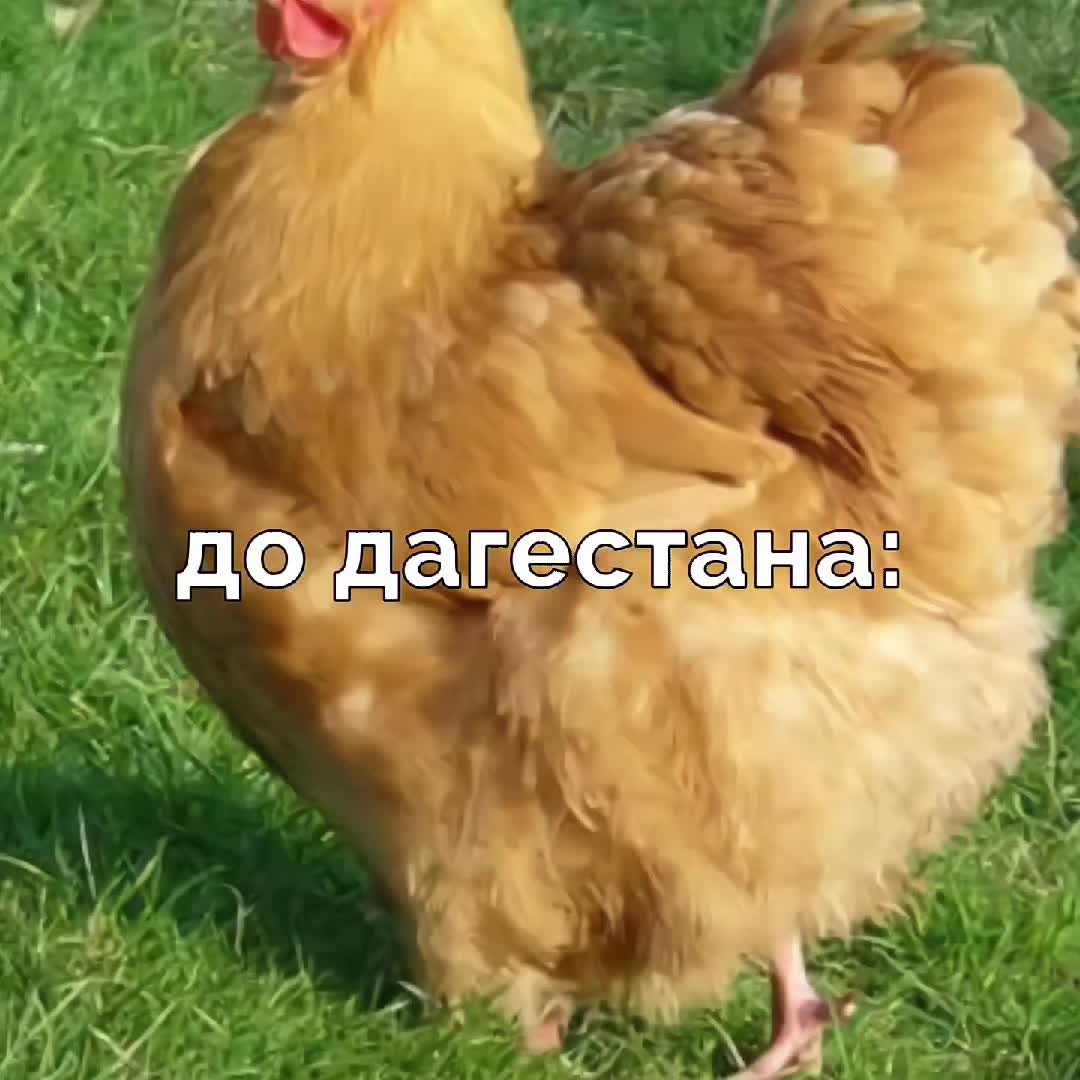 @пряник