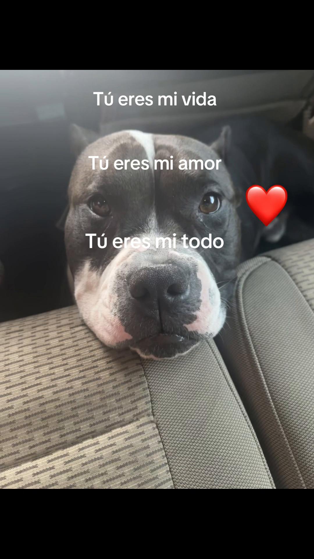@Itz_Gen🇨🇴🇭🇳🇩🇴🇻🇪