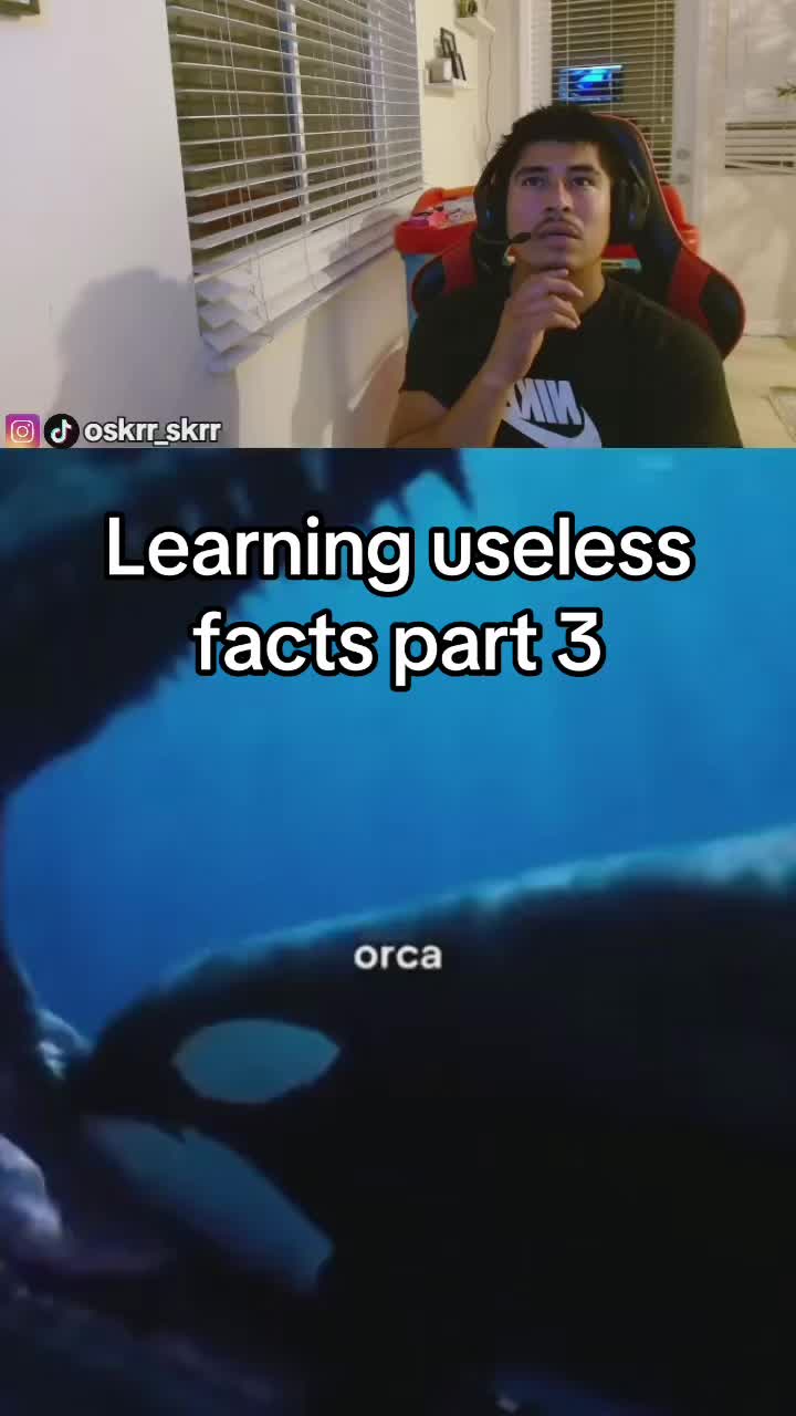 @oskrr_skrr