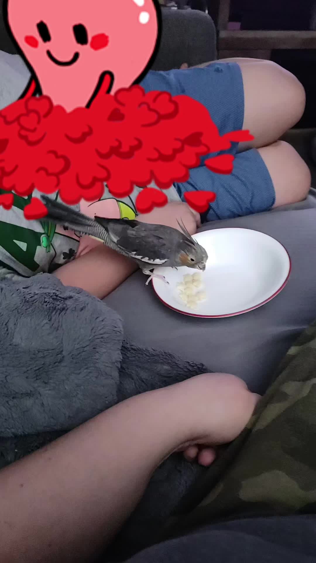 @ProfessionalPITA