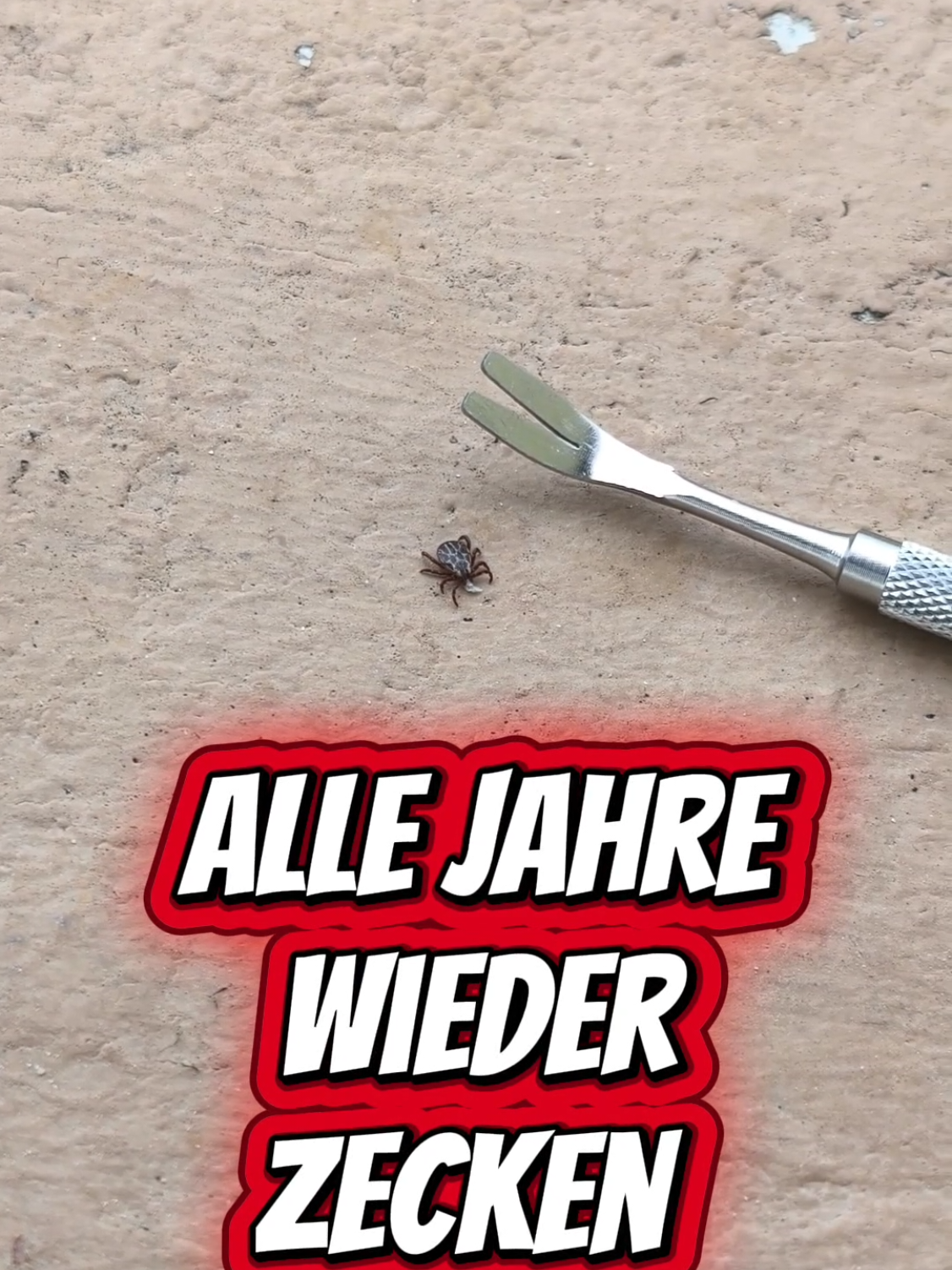 @ICH BIN'S