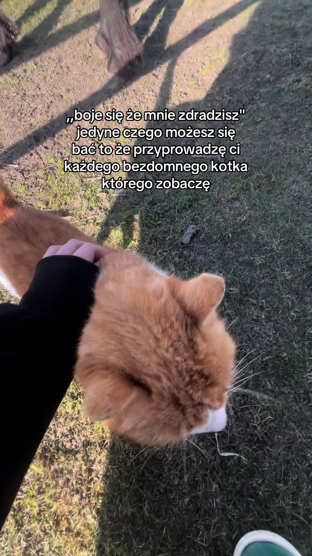 @ig:xyzliwkax33