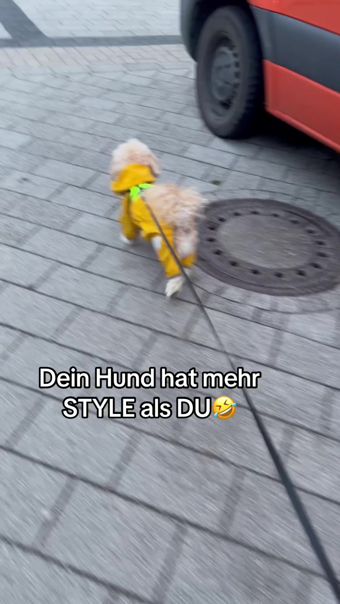 @DogMilow