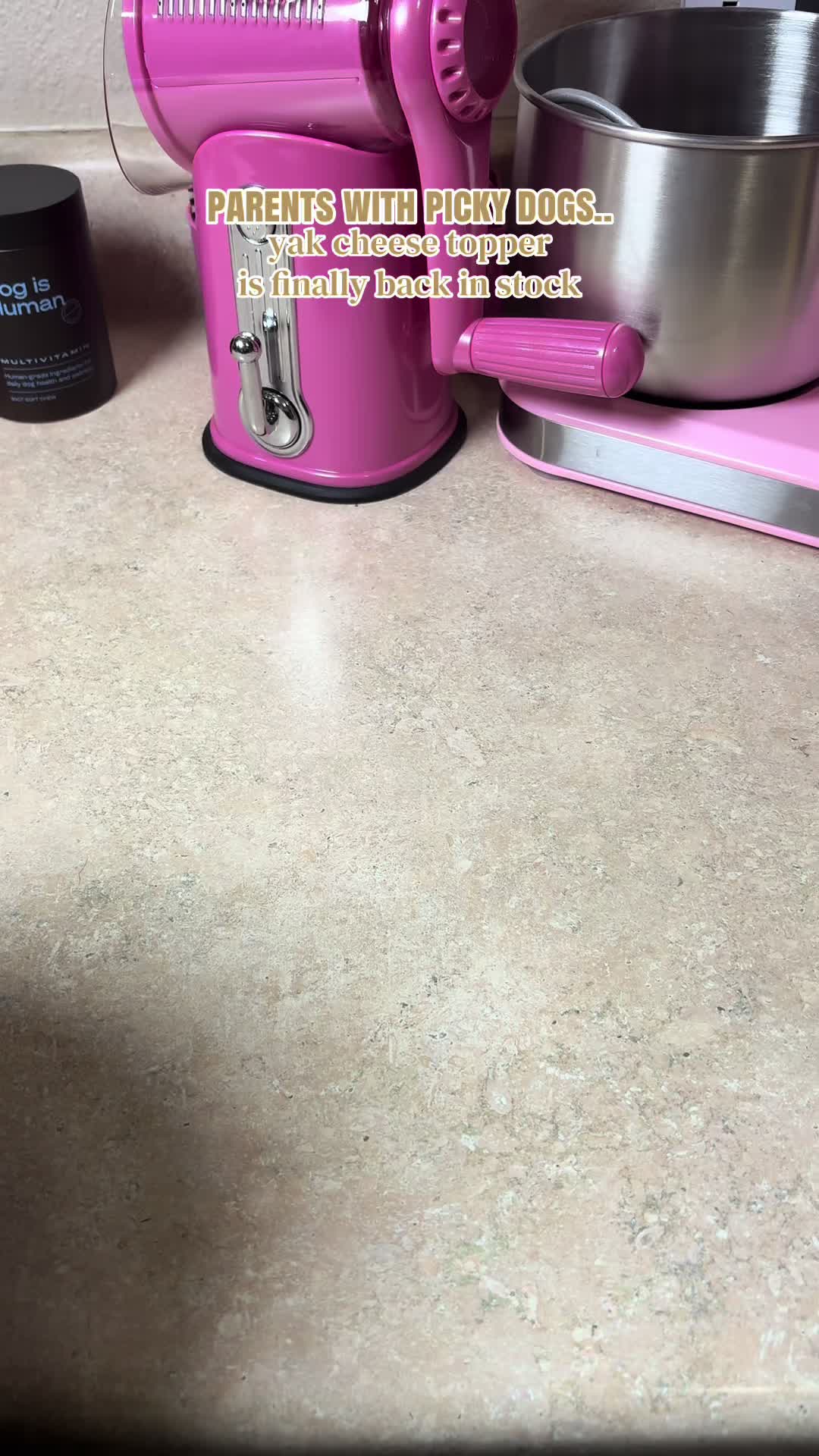 @kai•thedogmother🐾