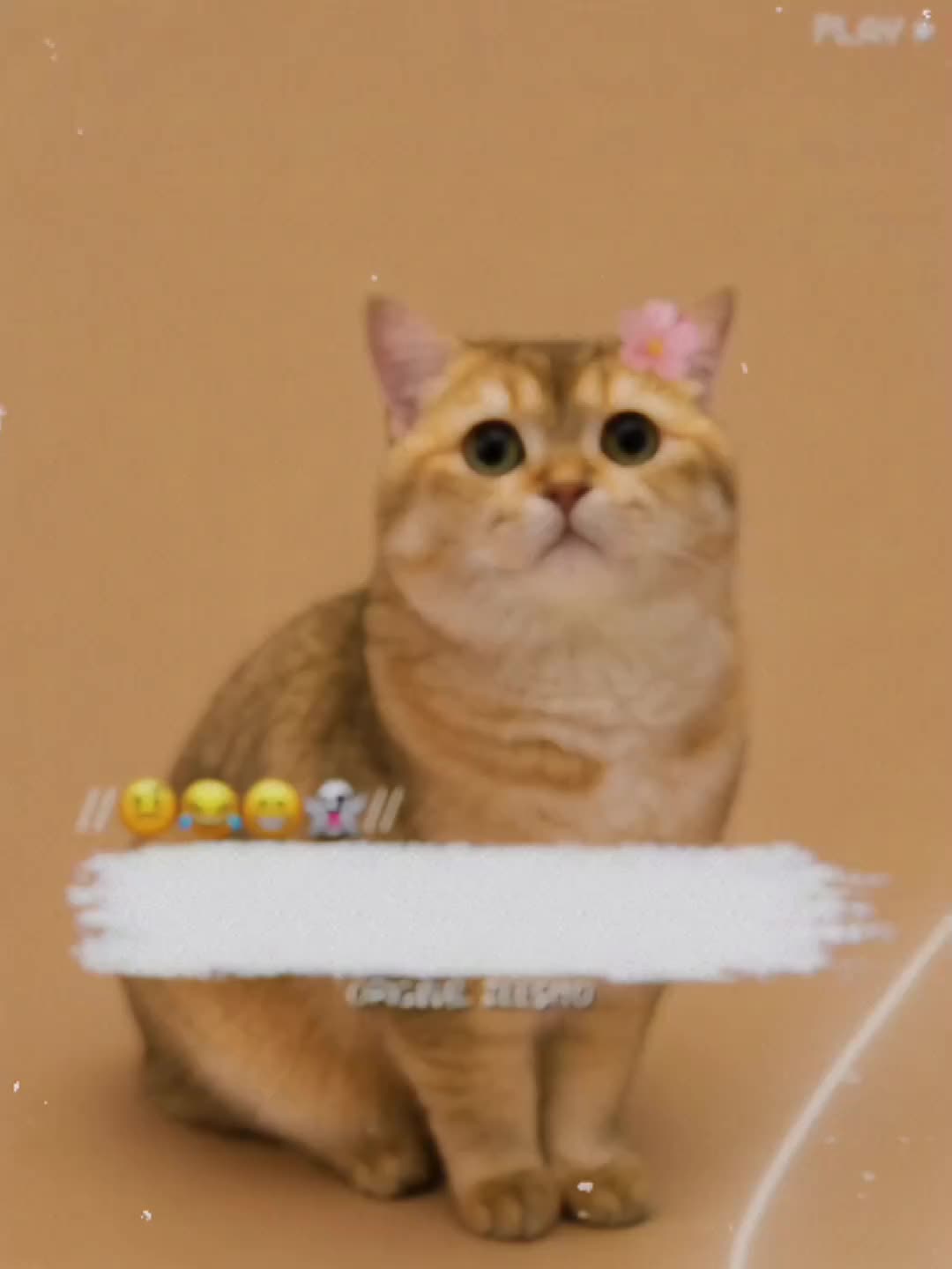 @🔥ᴢᴇᴇsʜᴏ ᴀʀᴍʏ🔥