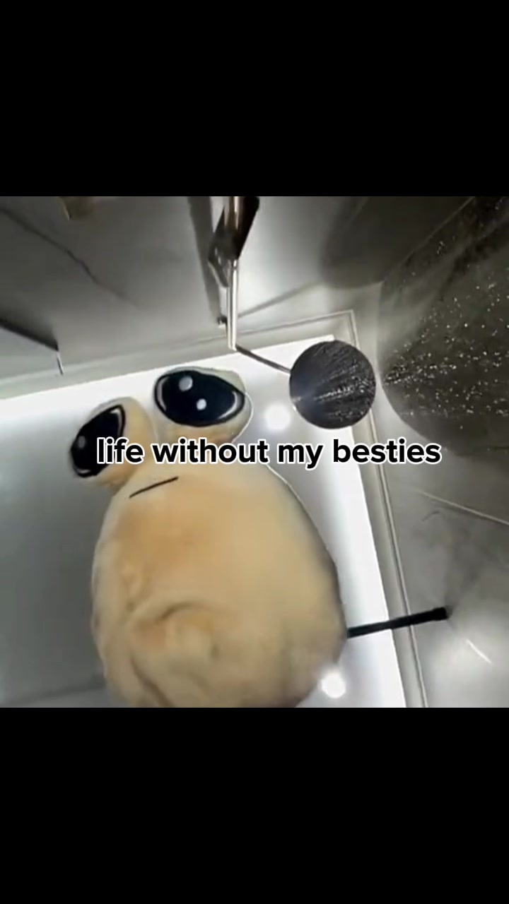 @Panda lover๐ค๐ค๐ผ๐ผ๐ผ๐ผ