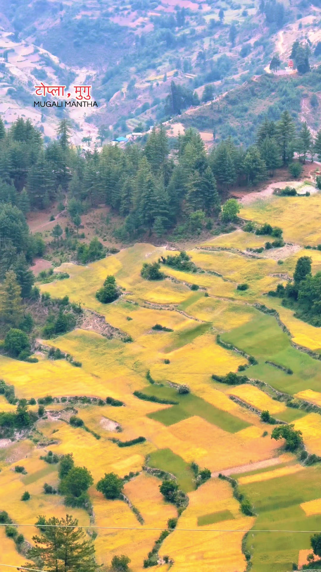 @मुगालि मान्ठ🇳🇵
