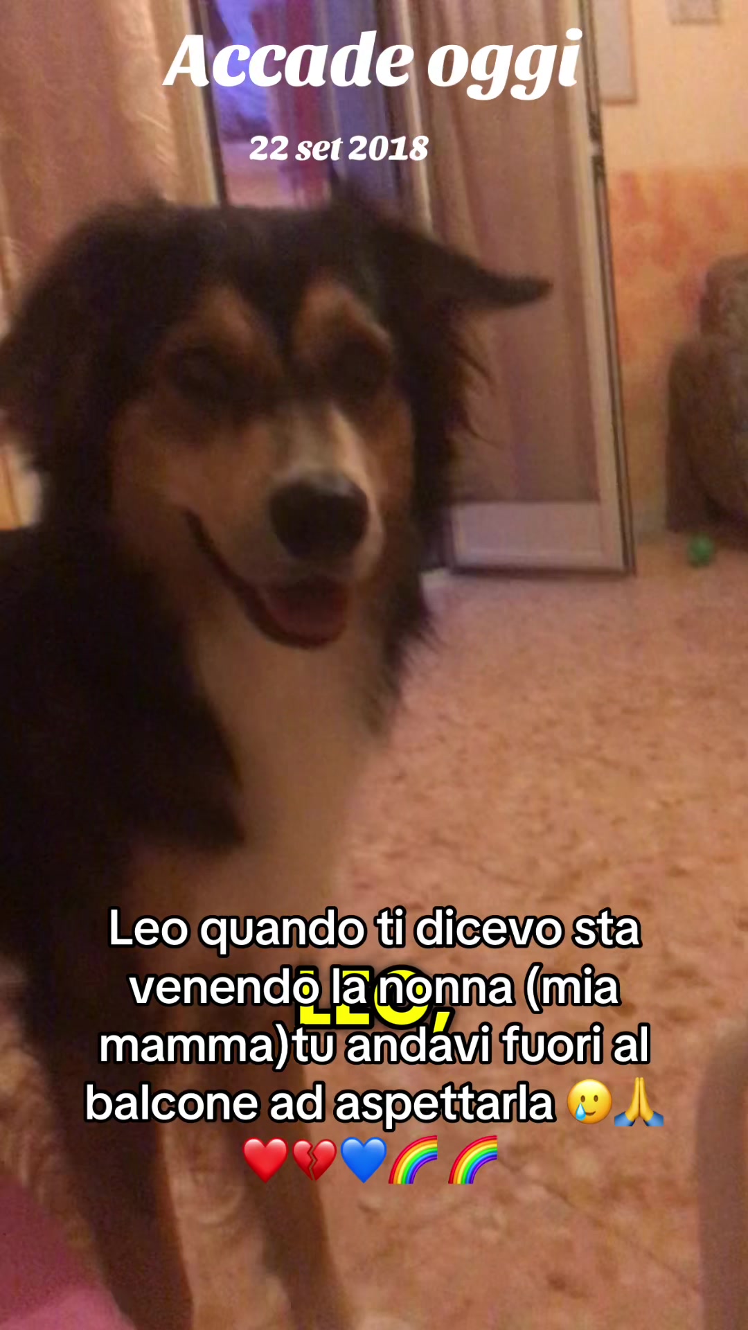 @Carmela Capone