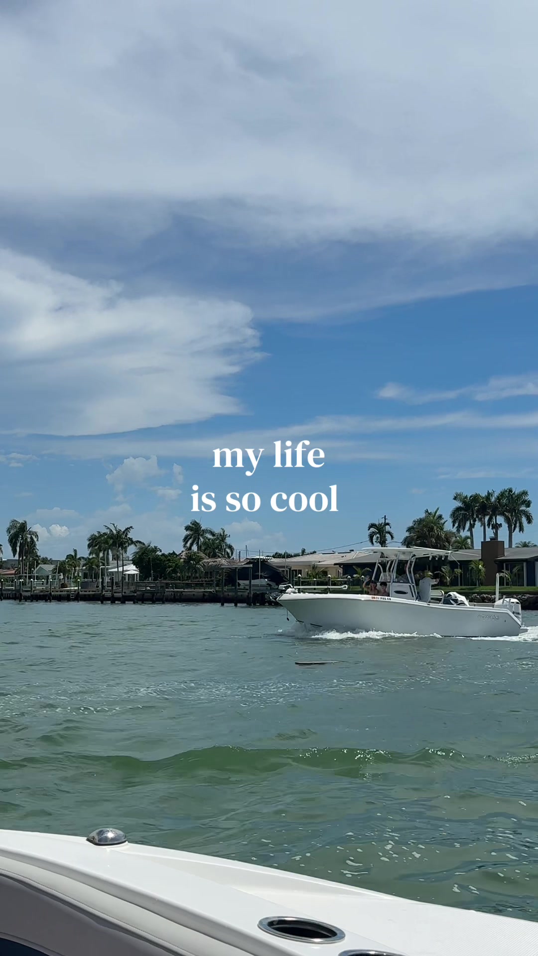@taylor jay