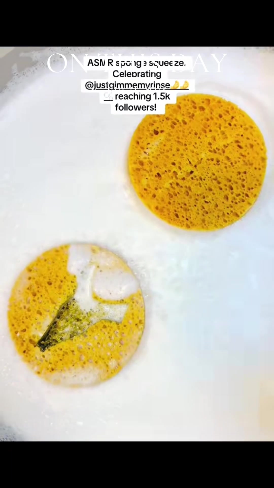 @SisterHoodSuds