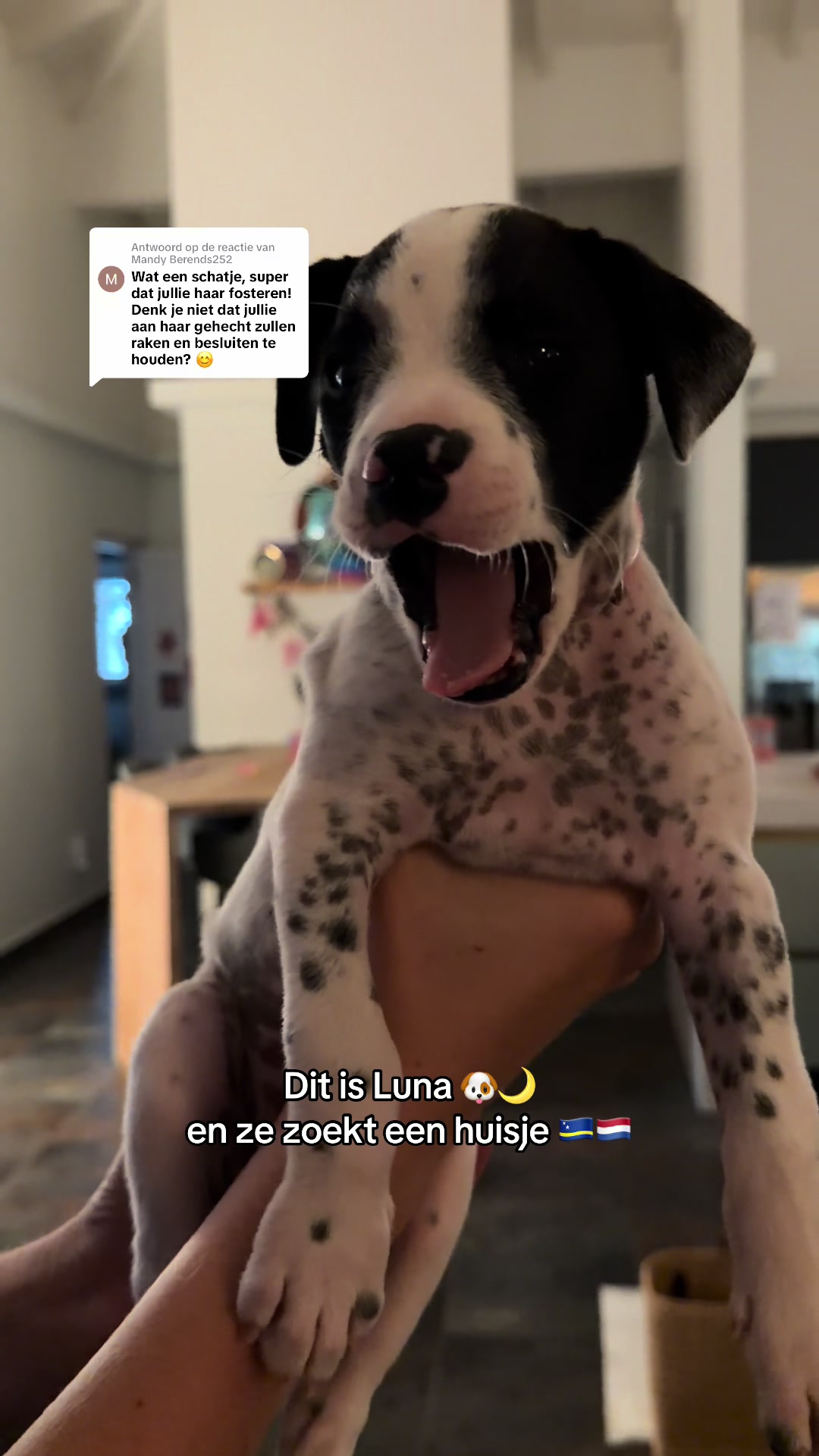 @Linda op Cura&ccedil;ao 🇨🇼