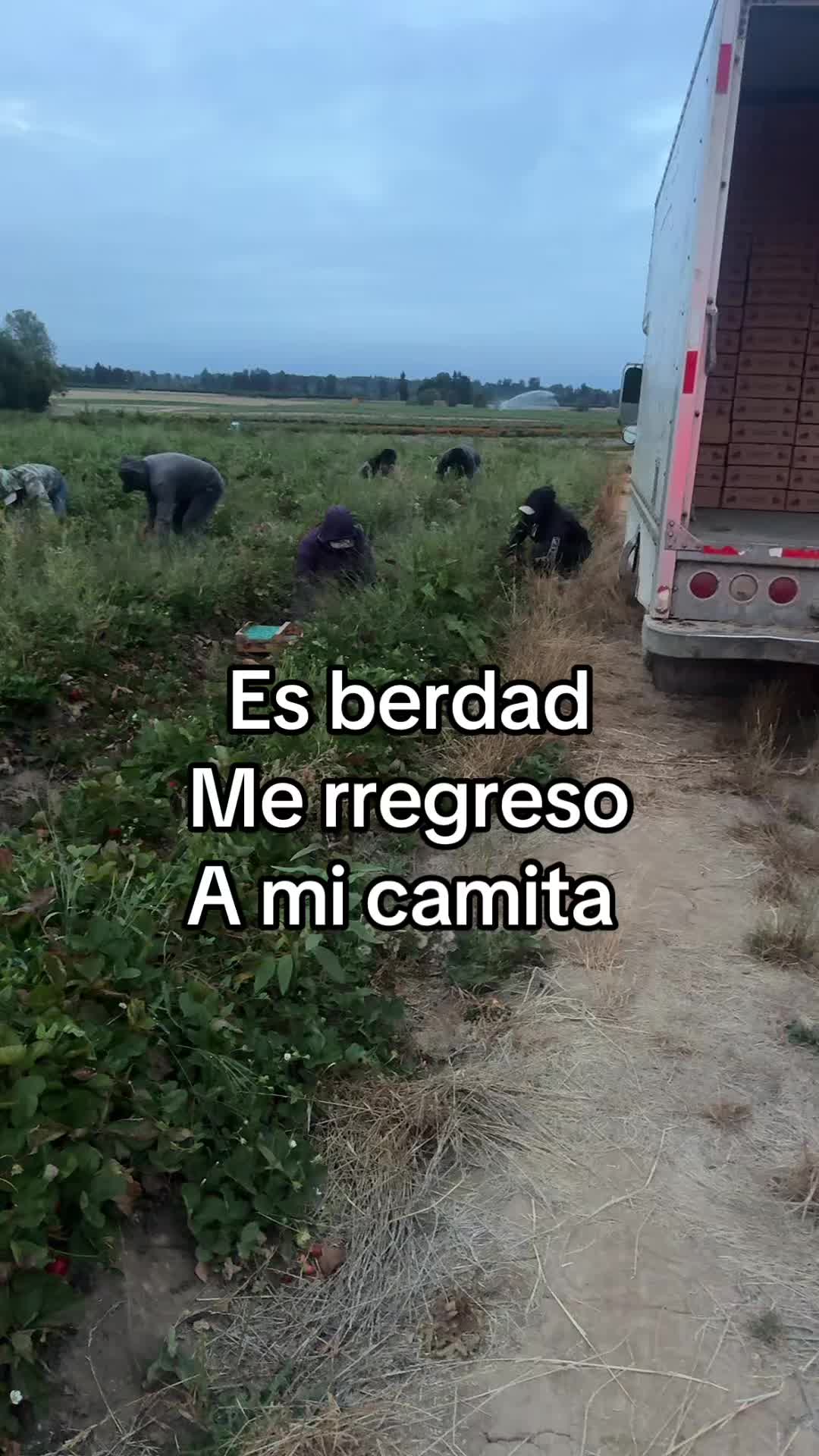 @⚜️🍓🪗pablocarbajal63🪗🍓👑🔱