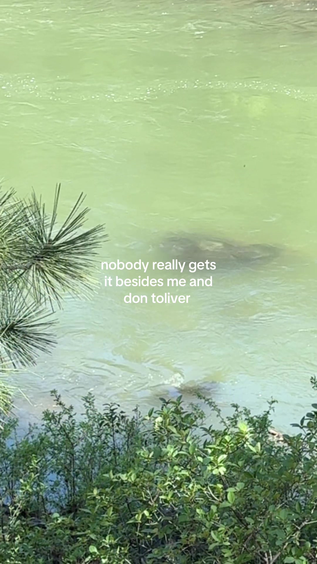 @taylor