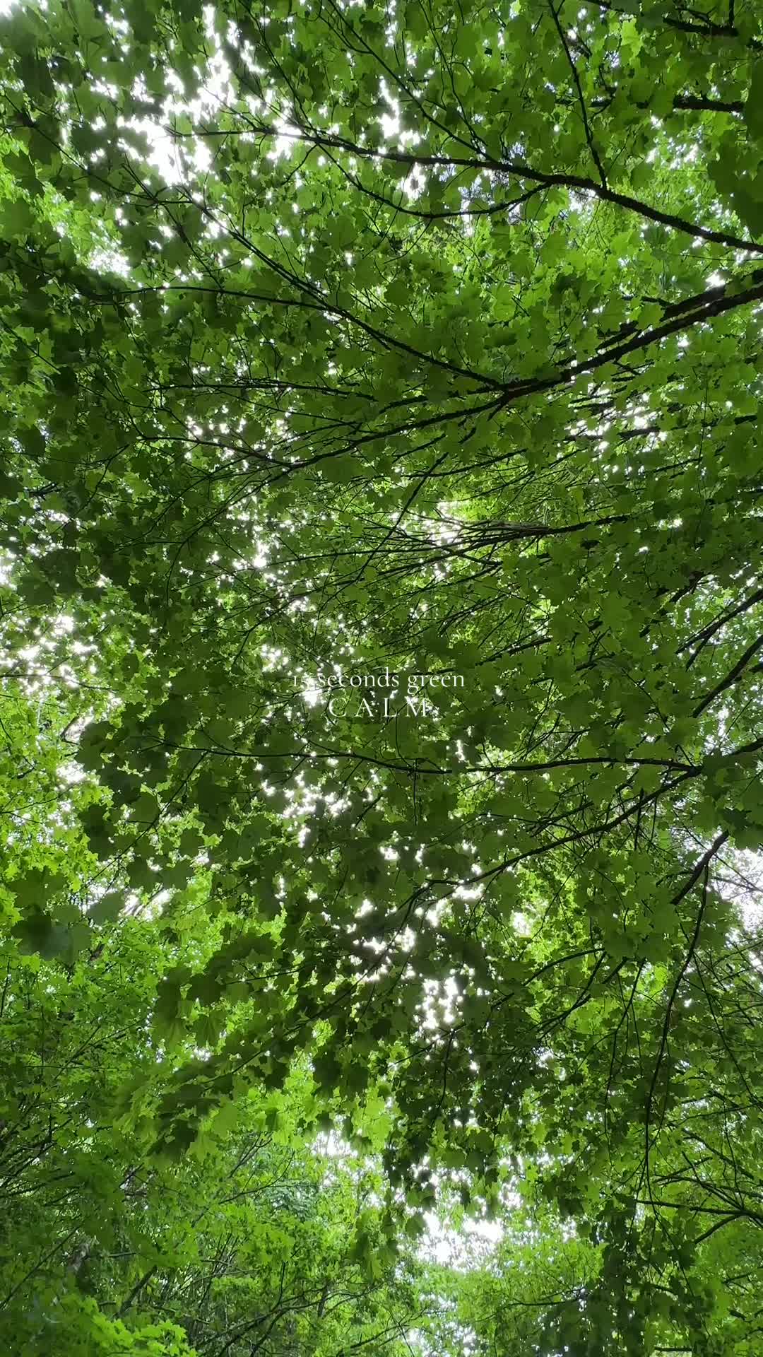 @𝙳𝚎𝚎 ☽