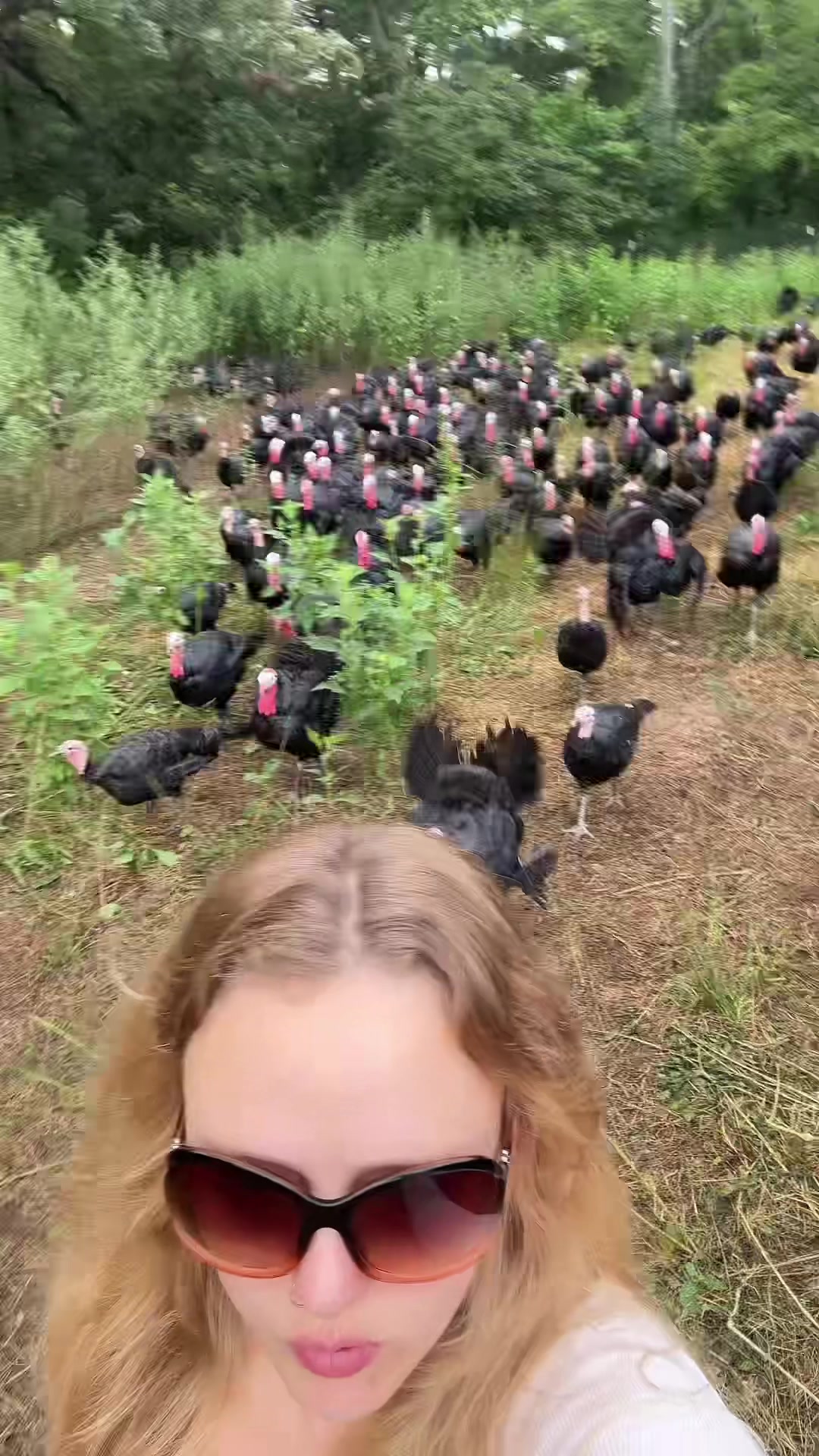 @farmerandtheharpiist