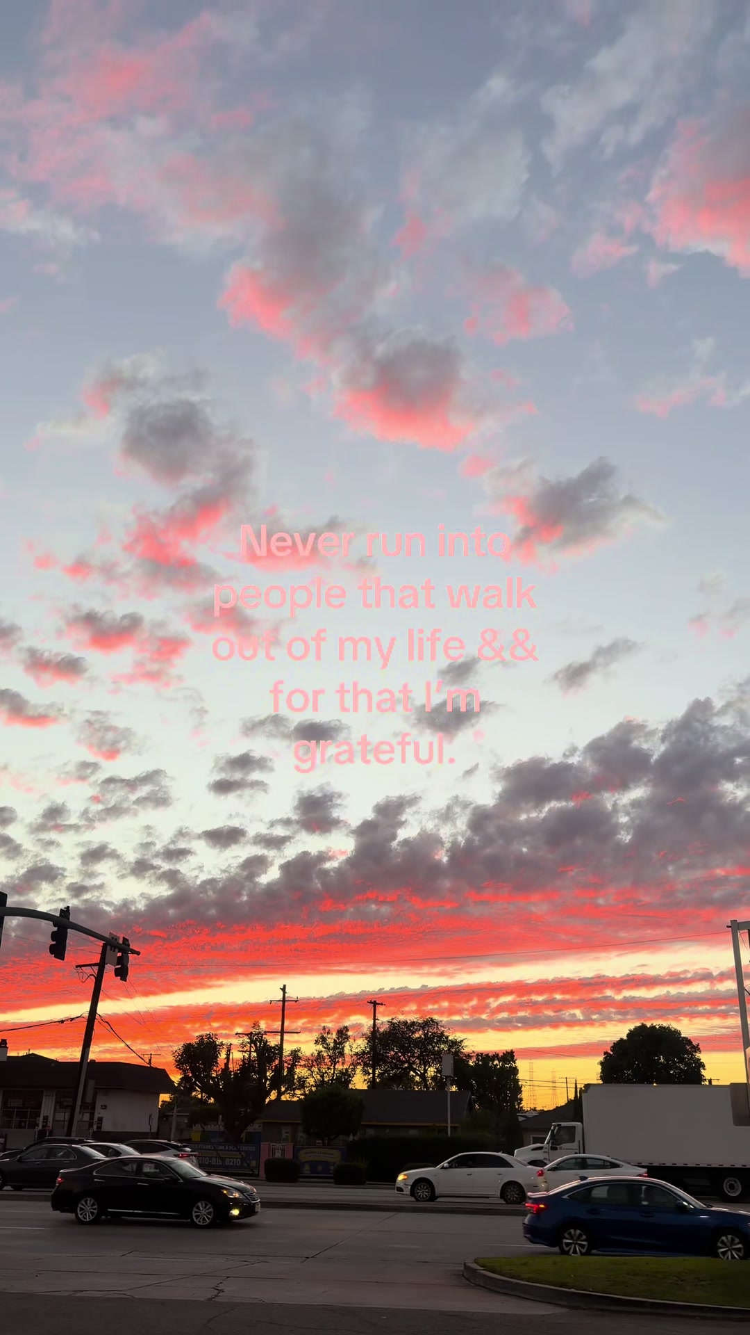 @jazmine devine