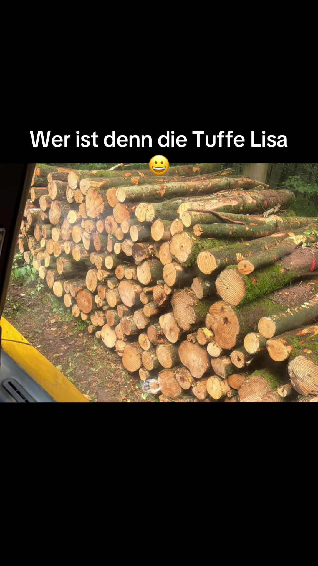 @Forstwirtschaft